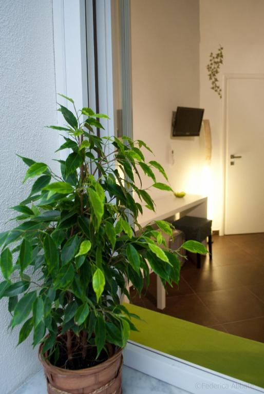 Affittacamere B&B Carella Palermo Phòng bức ảnh